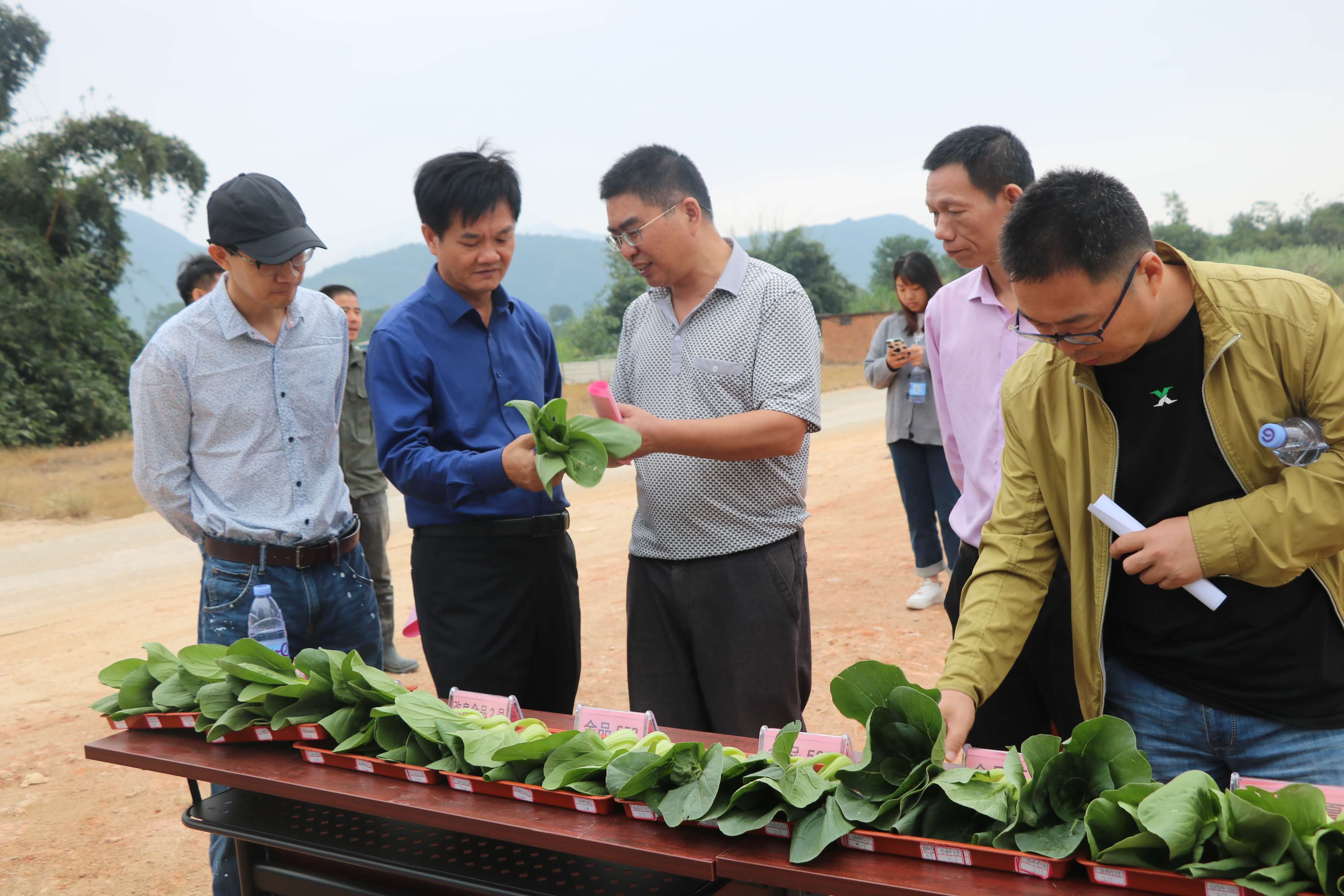 1603762566610268.jpg 1603762566610268.jpg