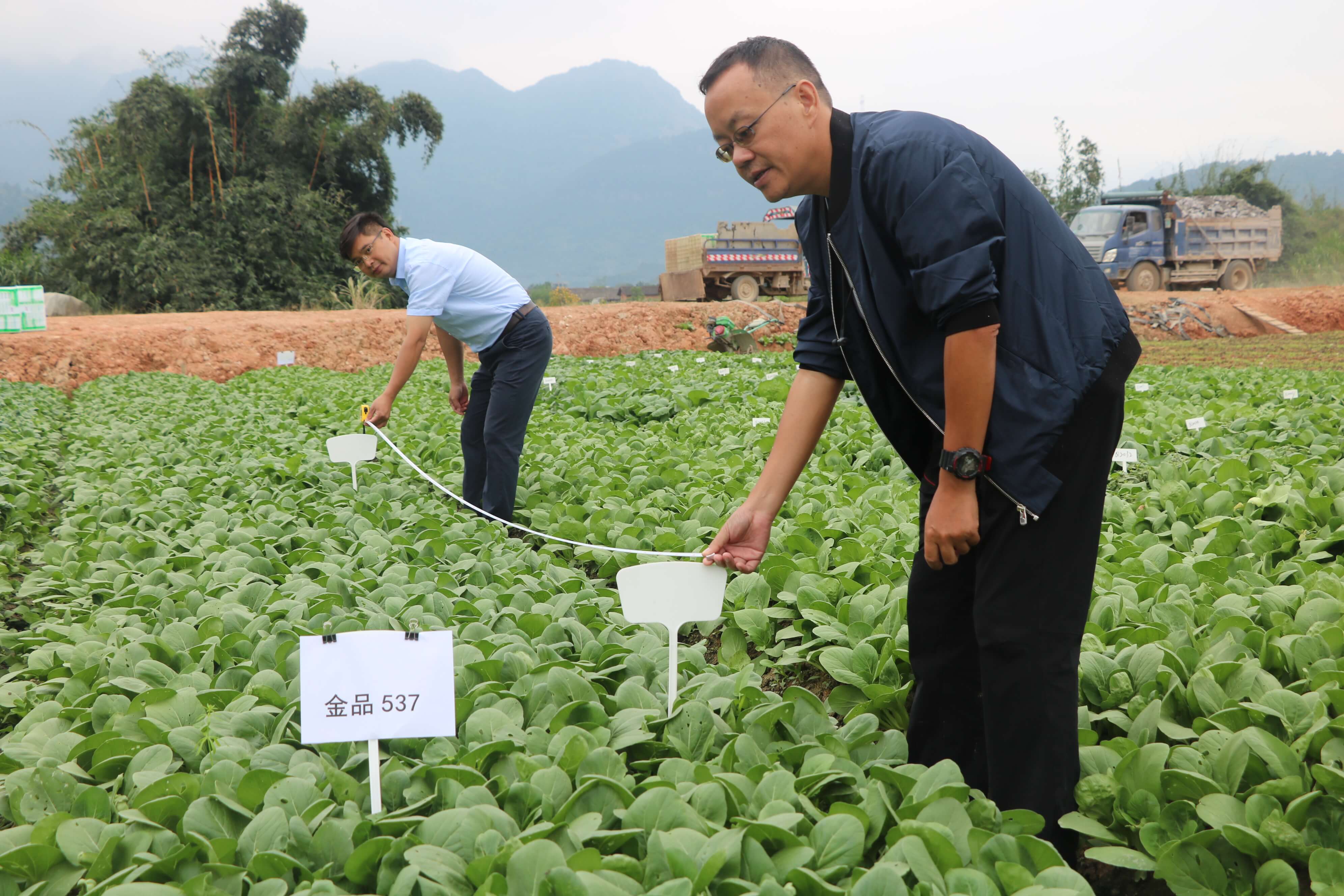 1603762672172570.jpg 1603762672172570.jpg