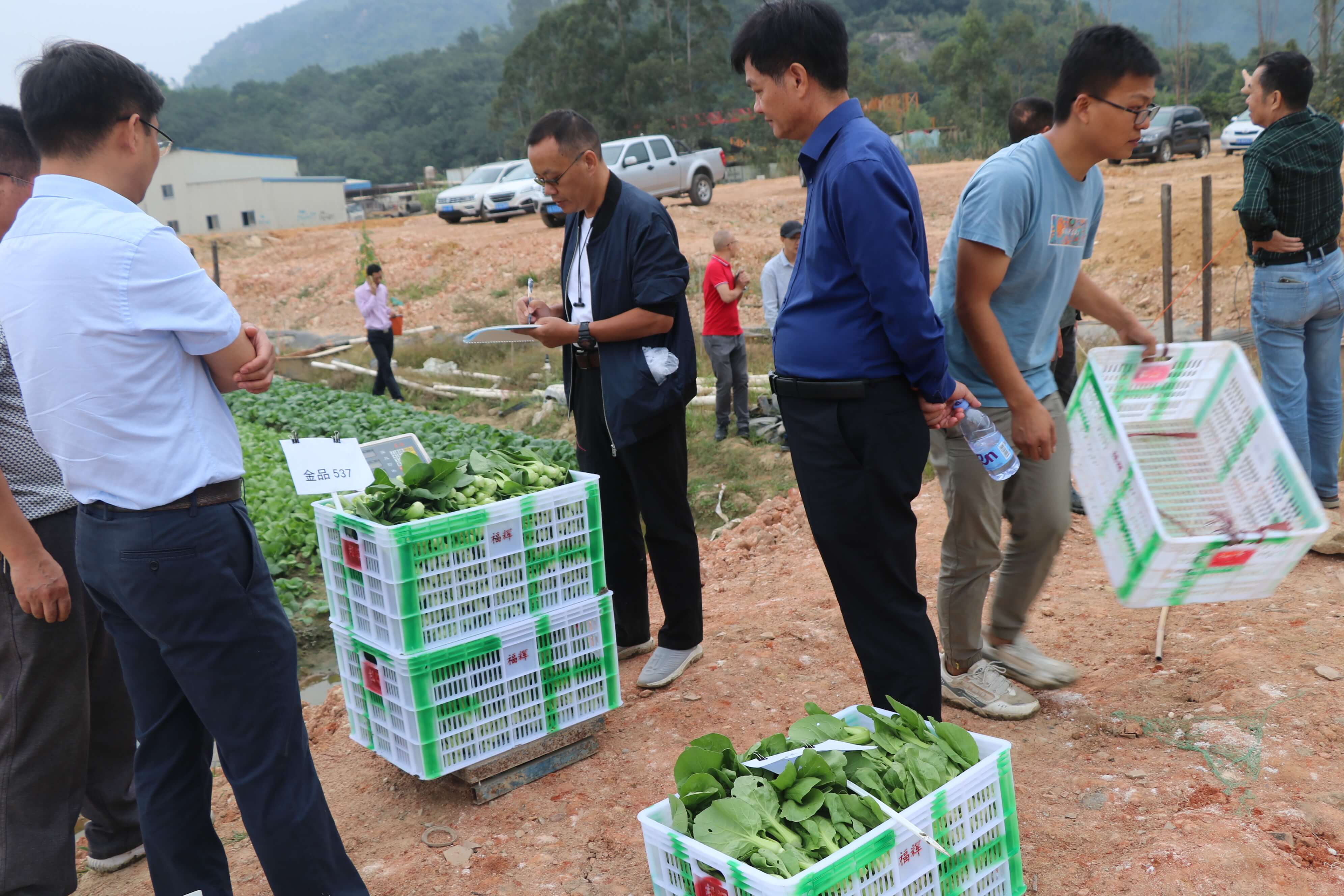 1603762703924165.jpg 1603762703924165.jpg